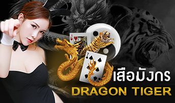 dragontiger ทางเข้าdatabet88